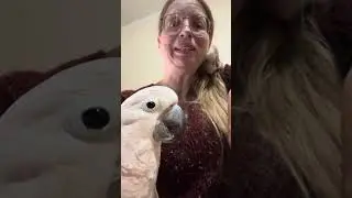 Double Trouble: Boo and Misha's Cuddly Chaos and Mischief! 🦜👓