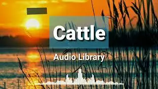Cattle - Telecasted | Audio Library [ Free No Copyright ] Background Music 🎵🎵