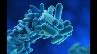 HSE - The Source Of Legionella