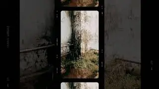 #arariya#good morning#short video#trendingvideo#