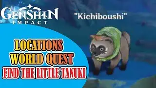 Find the Little Tanuki - Genshin Impact