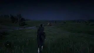 Red Dead Redemption 2: Online