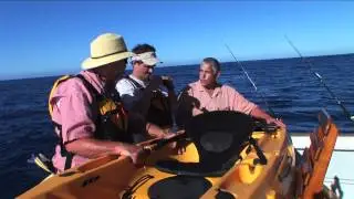 SFTV: Kayaking in Cabo Part 1