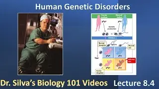 Lecture 8.4 &ndash; Human Genetic Disorders &ndash; Biol 101
