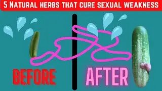 5 NATURAL HERBS THAT CURE SEXUAL WEAKNESS || SEXUAL DYSFUNCTION || QUICK EJACULATION