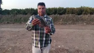 متعة الصيد بالنسيلة في مية الغبشة احجام كبيره