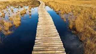 Strabrechtse Heide