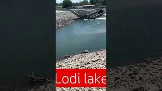 Lodi lake #lodi #shortvideo #short #shorts #shortsviral #shortsfeed #shortsvideo