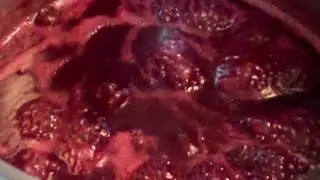 MAKING PRICKLY PEAR JELLY. EPISODE:67