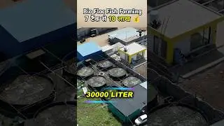 Biofloc fish farming profit | Micro Irrigation |