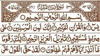 Surah Yaseen Tilawat 🤍 || Heart Touching Quran Recitation || Ep 44 Hd || Peace & Sukoon 