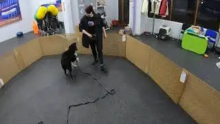 Синхронизация