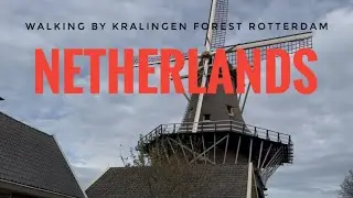 Kralingen Forest Rotterdam The Netherlands | 4K ASMR HLG HDR