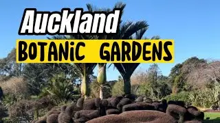 Auckland Botanic Gardens | Walk Tour | New Zealand🇳🇿
