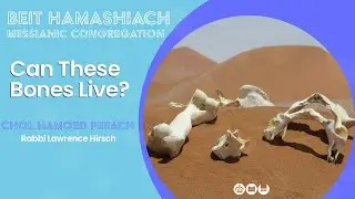 'Can These Bones Live?'. Shabbat Family Service 27/04/24