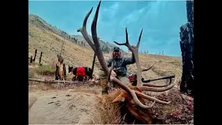 🎥 Последняя совместная работа Райана: must-have для охотника! 🦌🔪