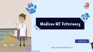 Madison WI Veterinary
