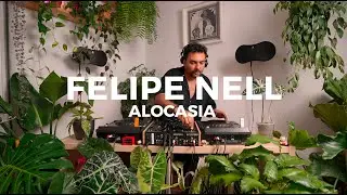 House and tech journey at the Studio by Felipe Nell - Alocasia TV Barcelona