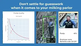 Cattle Care: Routines quality