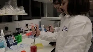 Watch Minimasters become scientists at The Institute of Cancer Research with Cancer Research UK