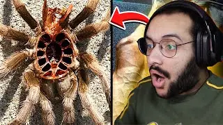اشياء سوف تراها لأول مرة في حياتك