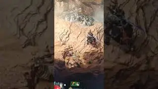 Slow motion bug