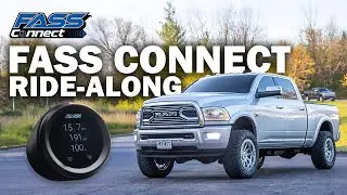 FASS Connect: отправляйтесь в путешествие с Джошем!
