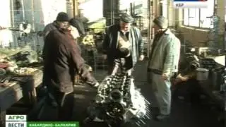 Агро Вести КБР (12.01.2014)