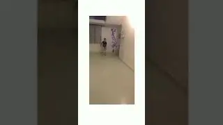 Vava vlog