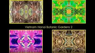 Beauty in Vietnam &ndash; Hanoi Botanic Gardens