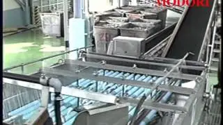 Fish Grading Machine (www.modoricorp.com)