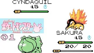 Pok&eacute;mon Coral &ndash; Episode 1: Onwa New Journey