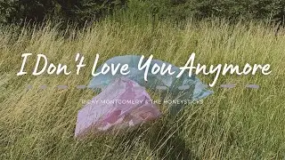 Ricky Montgomery & The Honeysticks - I Don't Love You Anymore (Lyrics)