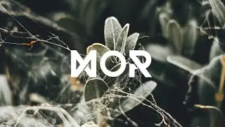 EMMI IIDA - Blooming (Robot Koch Remix) [REUPLOAD]