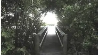 620 Bocilla Dr Placida FL 33946 - Kevin Mackin