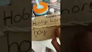 Come back for part two day life with horses/hobby horses