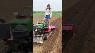 Gadi wala cartoon 🚗 Toys truck , bus ,train aeroplane #tiktok #toys