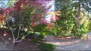 Japanese Garden Lithia Park Ashland Oregon