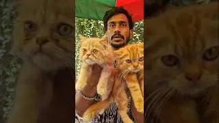 Broadway pets market 😍😍 😍