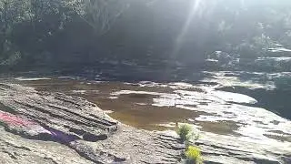 Wedderburn Yowie Bigfoot Hairyman Junjudee Search Reports Sightings