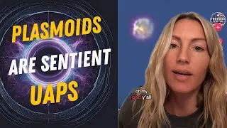 Plasmoids and UAPs: The Sentient Vehicles of Consciousness