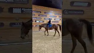 Circle Work and Body Position: The Art of Riding #shorts #horse #learning