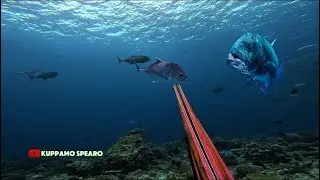 LUAR BIASA WAKATOBI MEMANG GUDANG NYA SPOT JITI 🔥🇮🇩