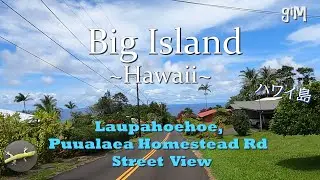 Laupahoehoe, Puualaea Homestead Rd (North Hilo) - Big Island, Hawaii (Town/Homes)