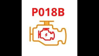 p018B