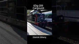 6Dg-209 Cargounit Gdańsk