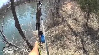 Bowfishing Tilapia from Shore