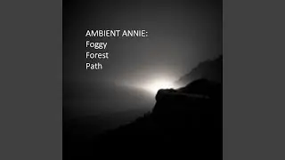 Foggy Forest Path