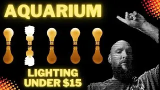 How to Light Your Aquarium or Fish Room for Under $15: Home Depot & Walmart Hacks