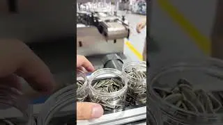 Weighing & Filling machine for nuts